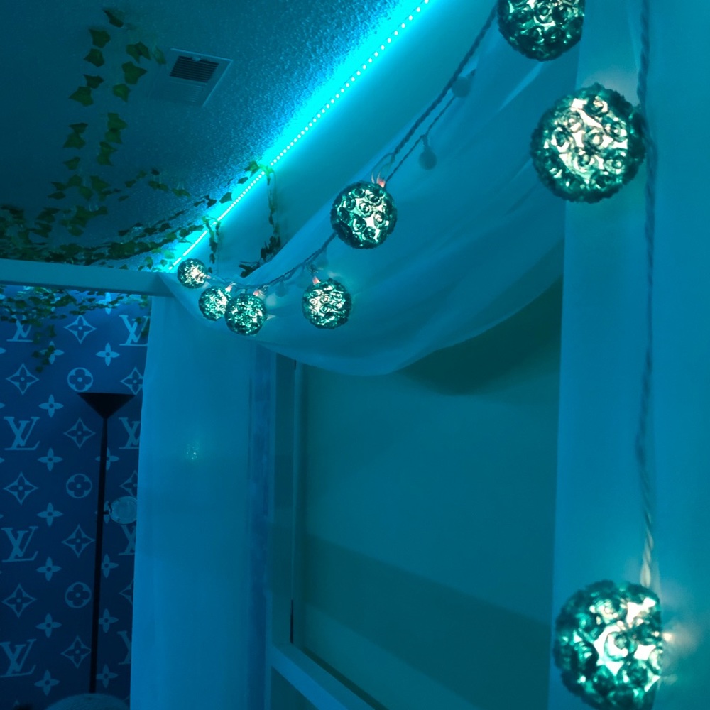 COPY - Floral Turquoise String Fairy Lights 🧚🏼✨